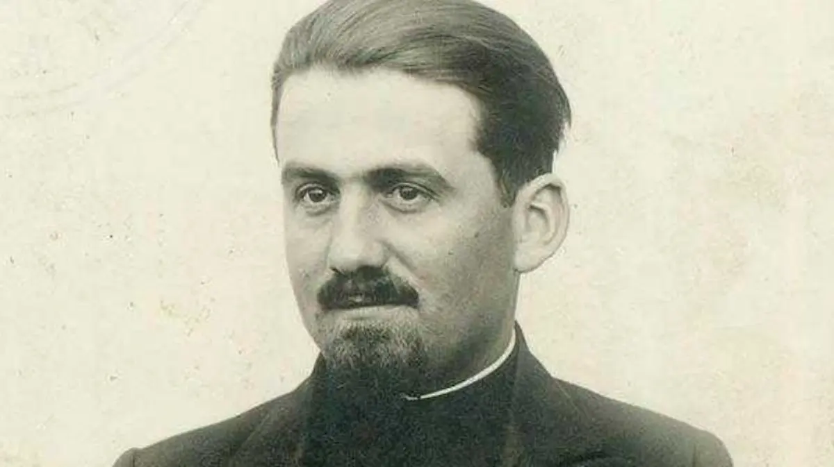 emil timisan