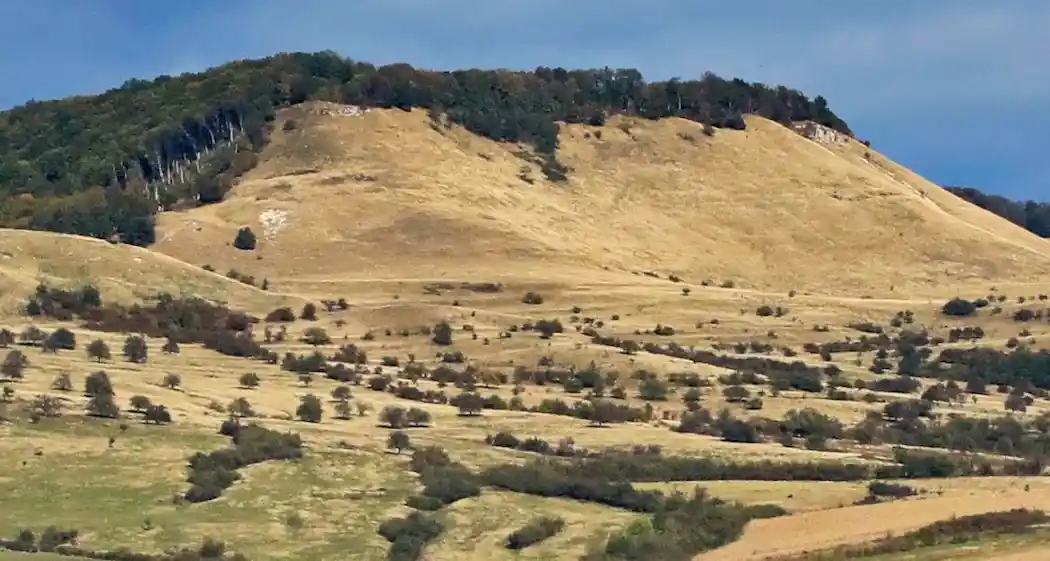 măgura