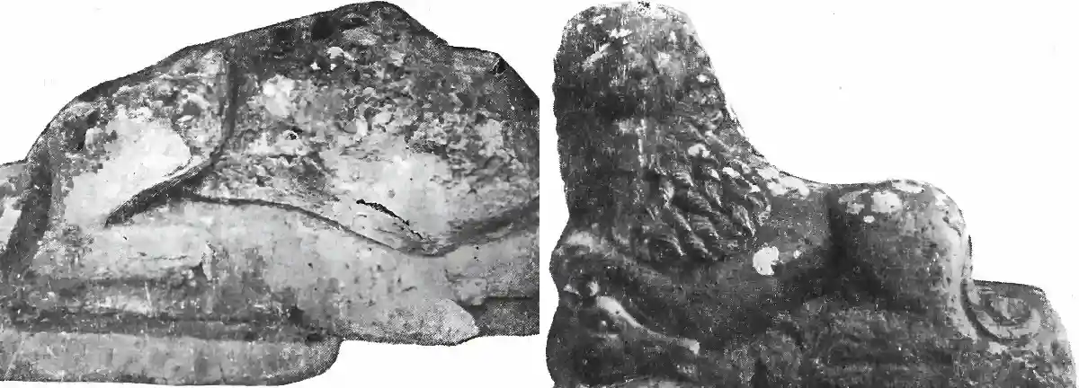 descoperirea leilor funerari romani in valea sangeorgiului