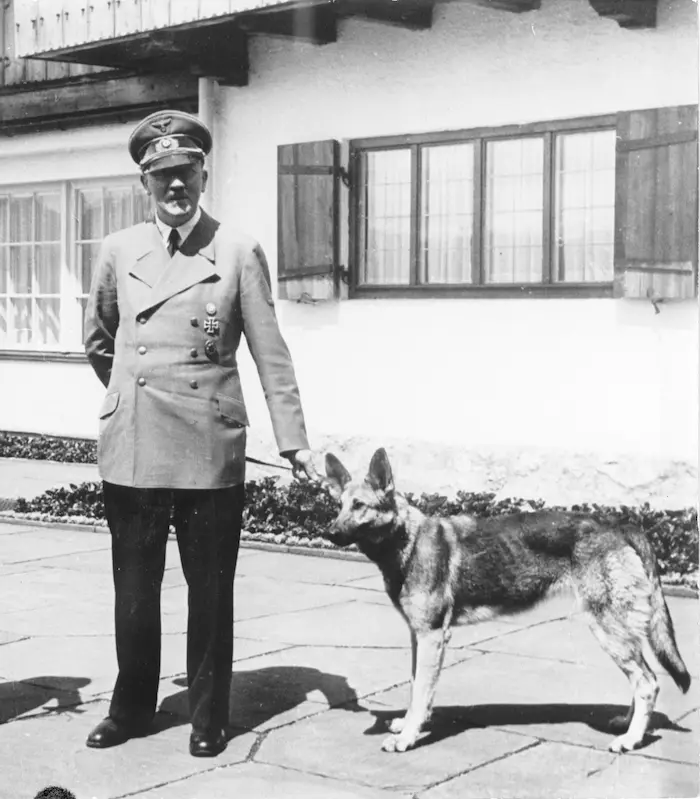 adolf hitler and blondi at the berghof