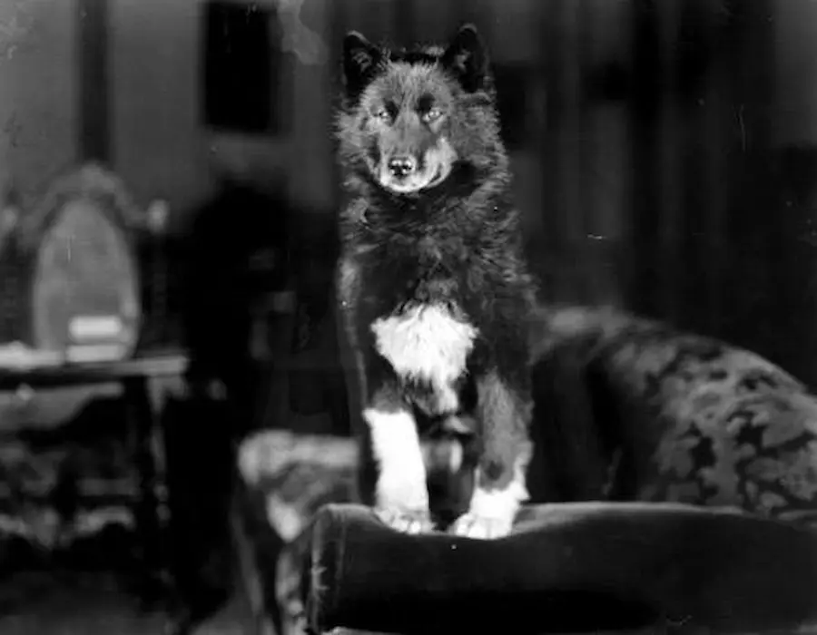 balto 1925