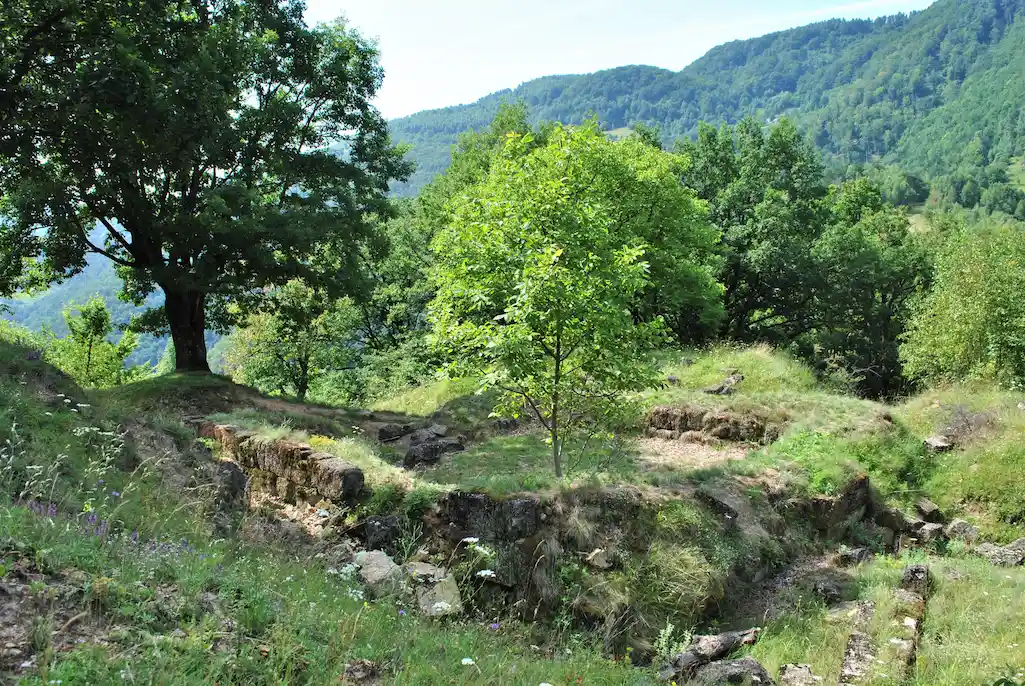 cetatea dacica de la capalna
