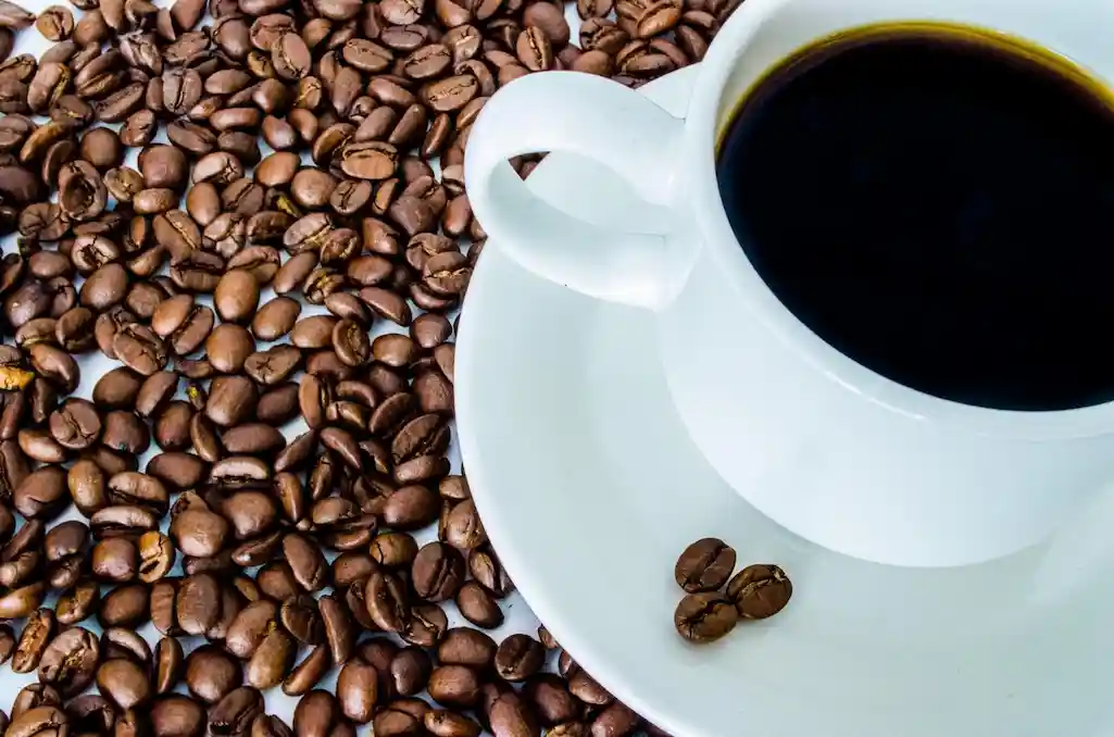 coffee cup and coffee bean