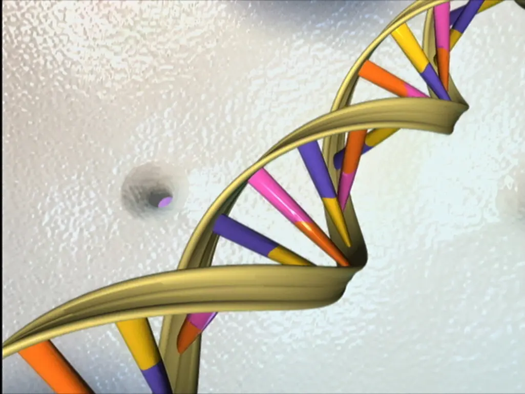 dna double helix (20468181866)