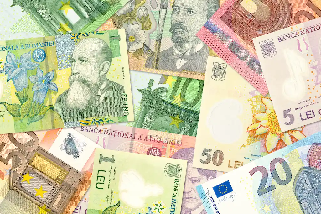 euro lei