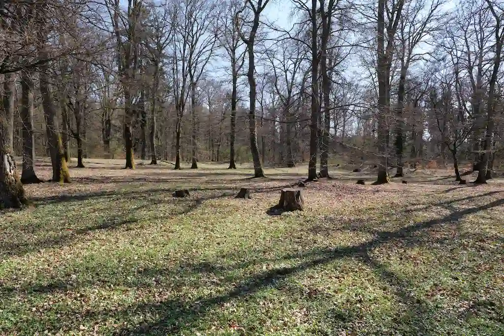 kapersburg taunus 2021 04 02 04