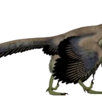 archaeopteryx td