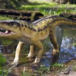 archosaur depositphotos 8966773 l