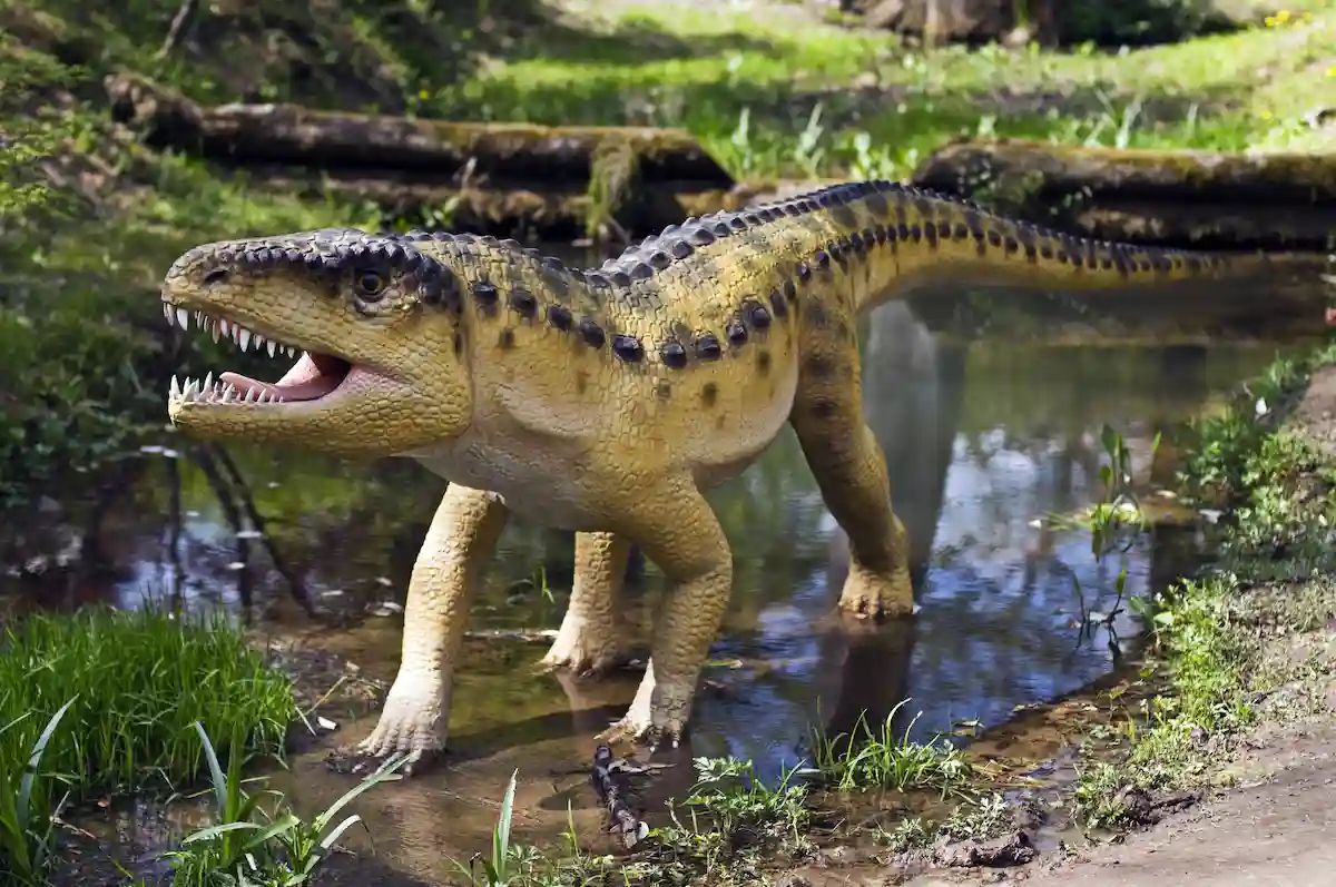 archosaur depositphotos 8966773 l