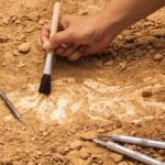 arheologie