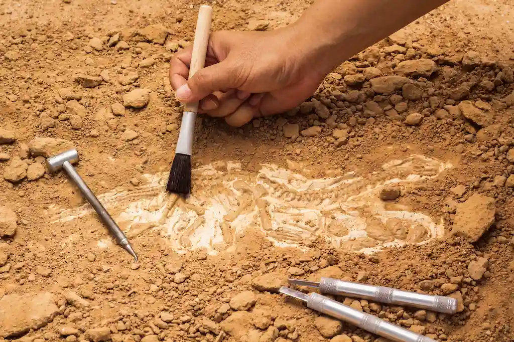 arheologie