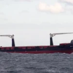 container ship reecon whale on black sea near constanța romania