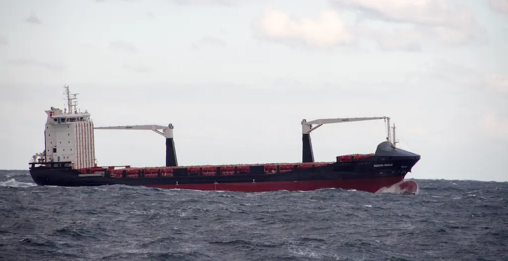container ship reecon whale on black sea near constanța romania
