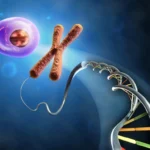 from dna to cell depositphotos 10214775 l