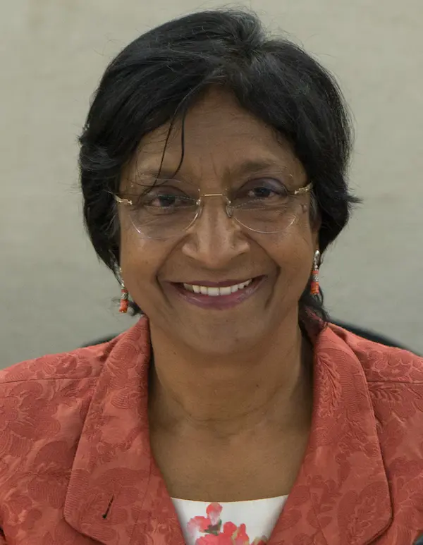 navi pillay june 2014